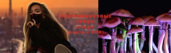 mix Новодвинск