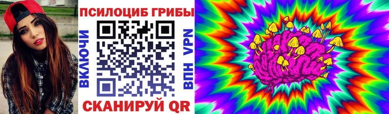 Купить  Боровичи  Псилоцибиновые грибы Cubensis 